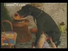 An enormous dog and a cougar with pigtails are featured in this classic brutal sex scene.